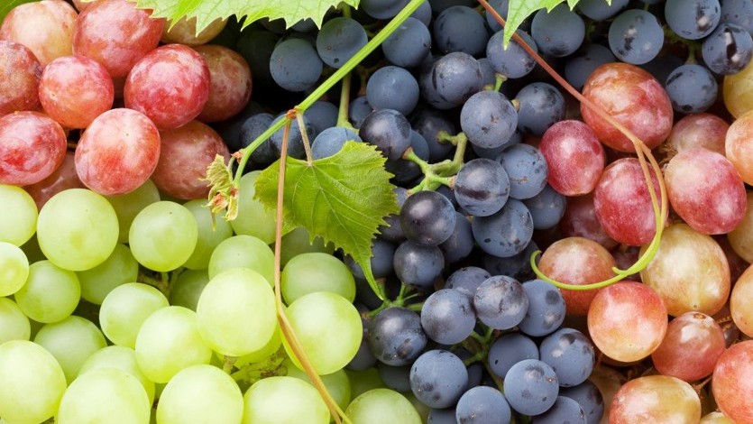 bea ac salic uva.jpg